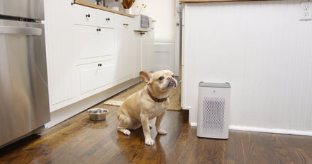 7 (Not Quite) Magnificent Things In The Air