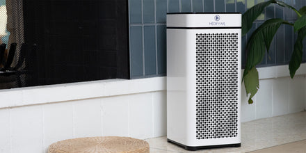 Can an Air Purifier Remove Mold From My House?