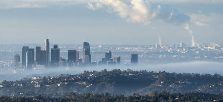 How Does Air Pollution Impact Mental Health?