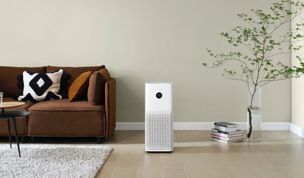 3 Critical Features to Look for in an Air Purifier