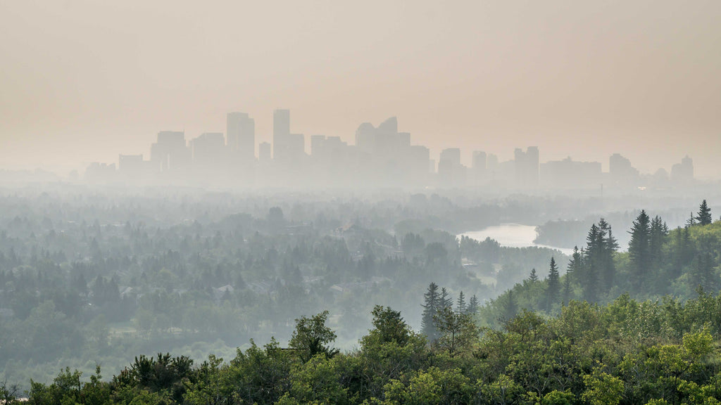 Introduction to Air Quality