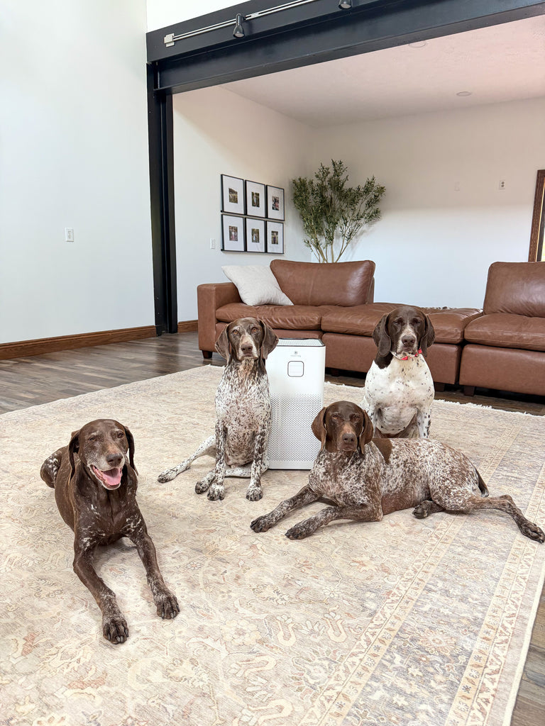 Is Pet Dander Bad for Your Health?