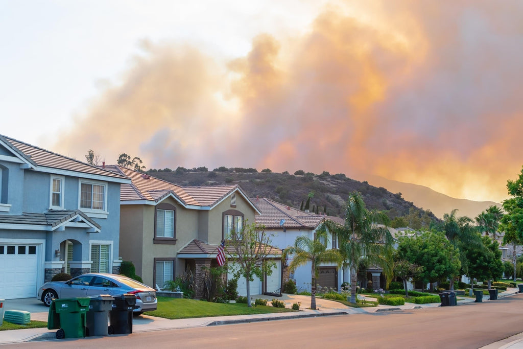 Need to Know: Wildfires, Smoke, and Air Purifiers