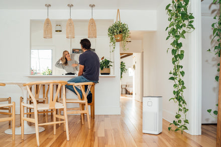 New Home? Toxic Pollutants Likely