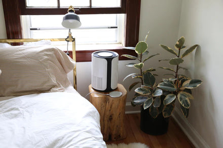 Alleviate COPD Symptoms with the Right Air Purifier