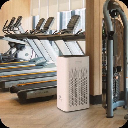 2024 Buyer’s Guide