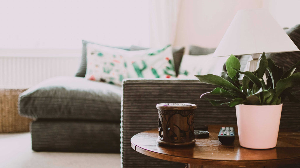 The Essential Guide to Mold Reduction at Home