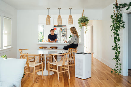 Tips to Buy the Right Air Purifier for Large Rooms
