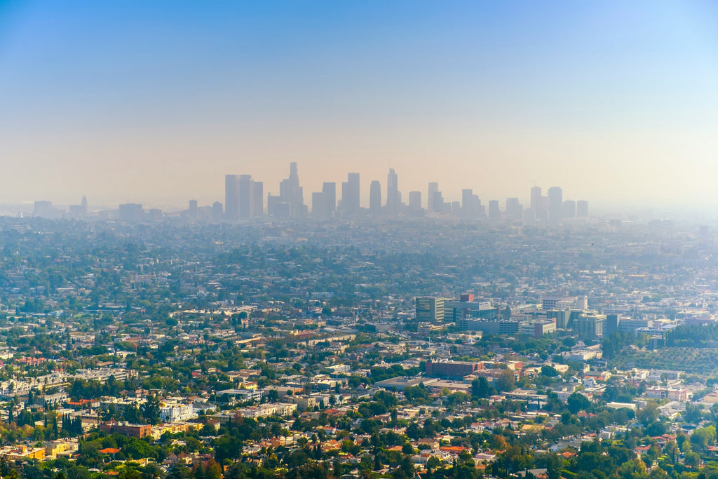 Why is Air Quality Important?