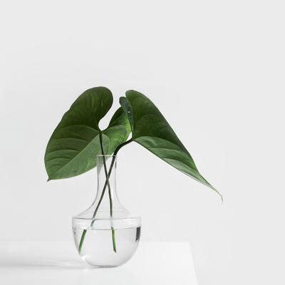 Living With Asthma – How Clean Air Can Change Your Life