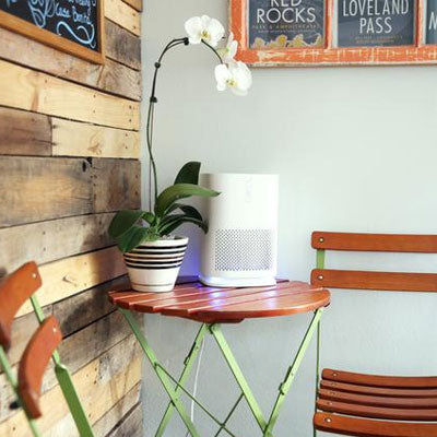 How Can an Air Purifier Reduce Your Allergies?