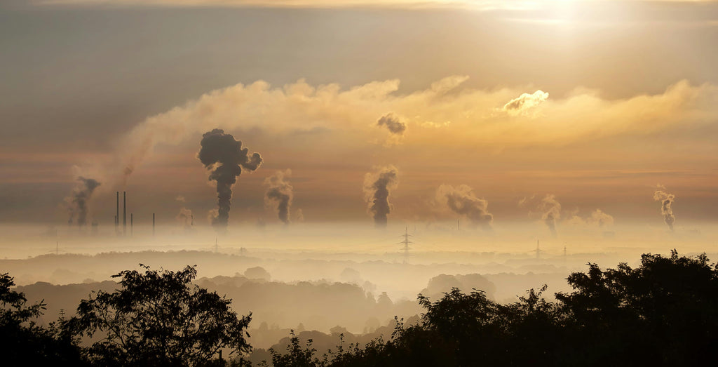 Lung Cancer in Non-Smokers: Why Clean Air Matters More Than Ever