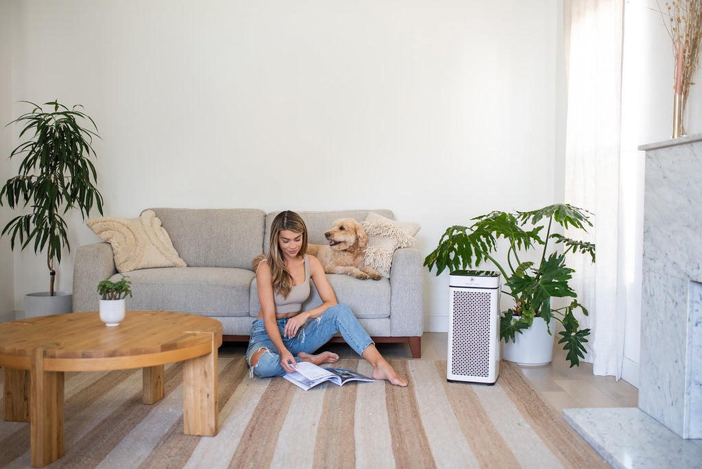 4 Ways to Improve Air Quality in Your Bedroom
