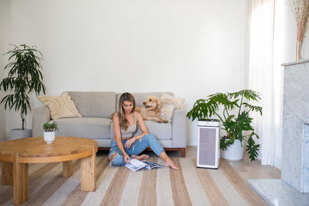 4 Ways to Improve Air Quality in Your Bedroom