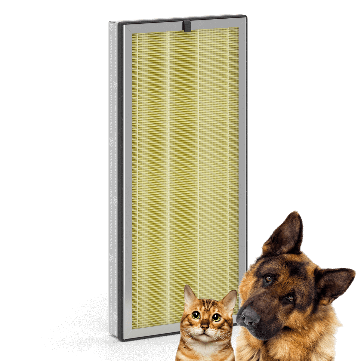 MA-40 PET Filter thumbnail