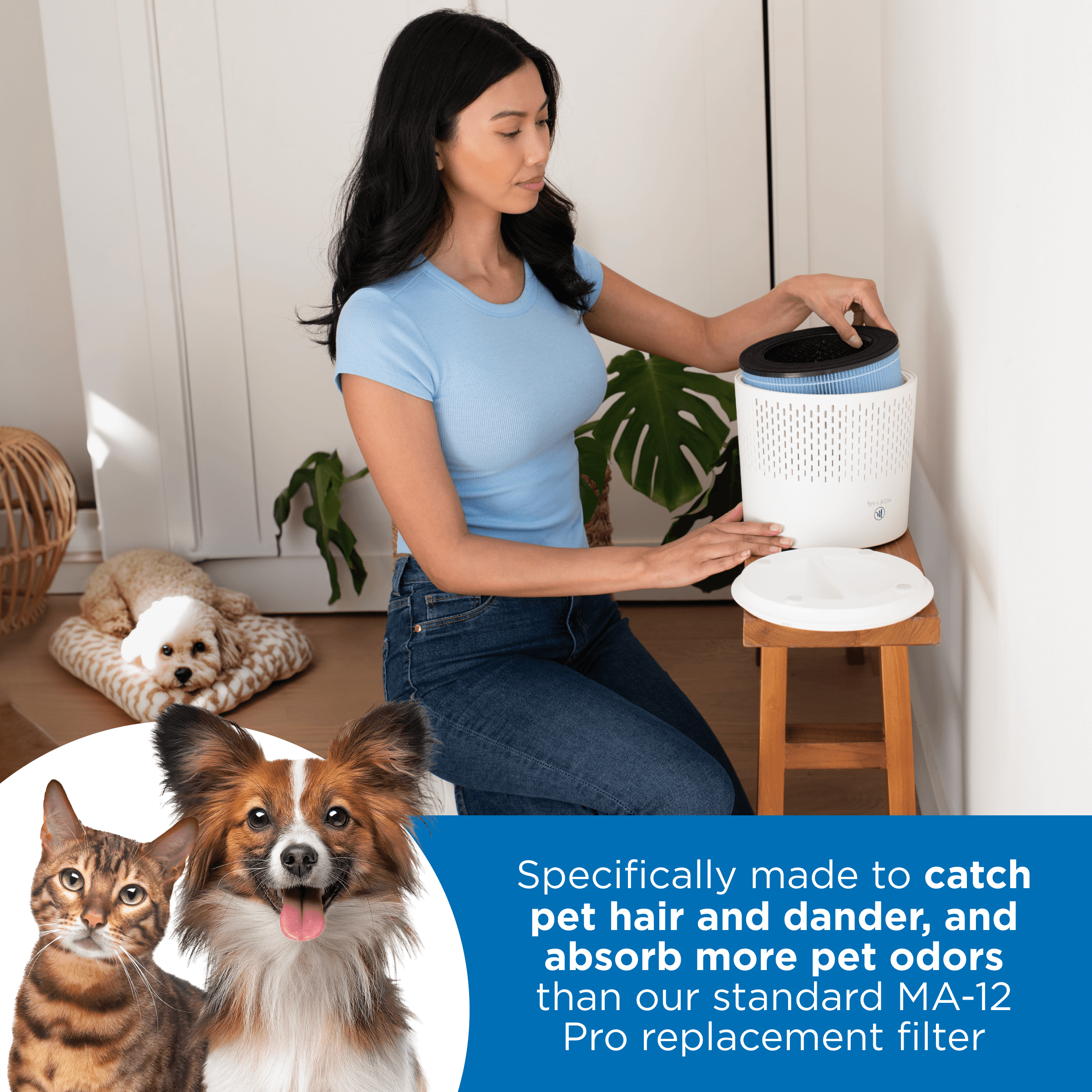 women in a room at home with her pet dog laying on dog bed while she is changing out her MA 12 air purifier filter. Text at the bottom reading specifically made to catch pet hair and dander, 